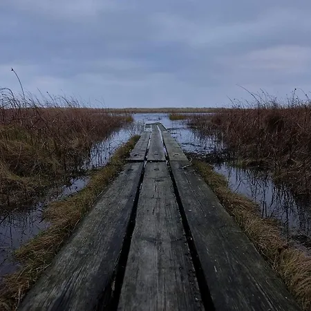 6 Person In Hals-by Traum Ferienhaus